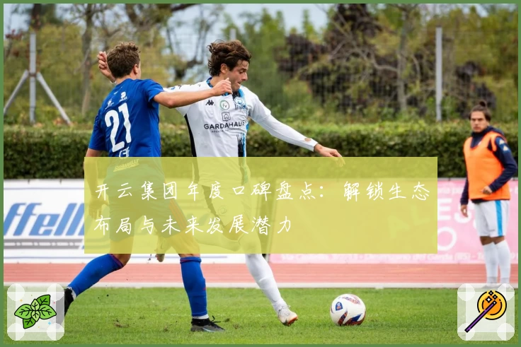 开云集团年度口碑盘点：解锁生态布局与未来发展潜力