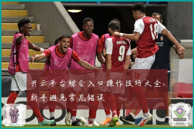 开云平台综合入口操作技巧大全，新手避免常见错误