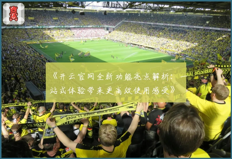 《开云官网全新功能亮点解析：一站式体验带来更高效使用感受》